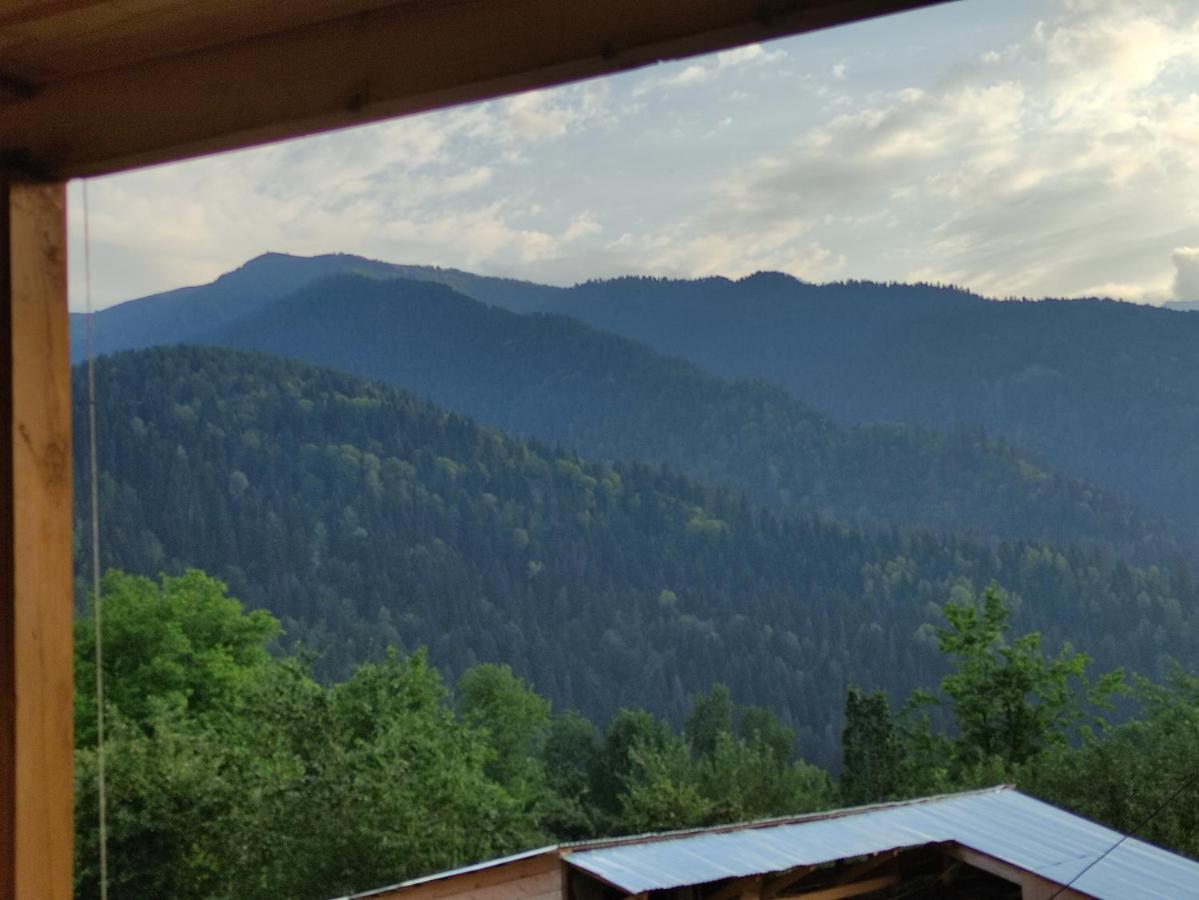 Ecohouse Svaneti Mestia Buitenkant foto