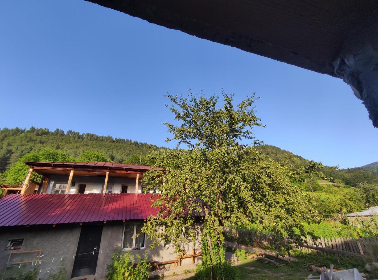 Ecohouse Svaneti Mestia Buitenkant foto