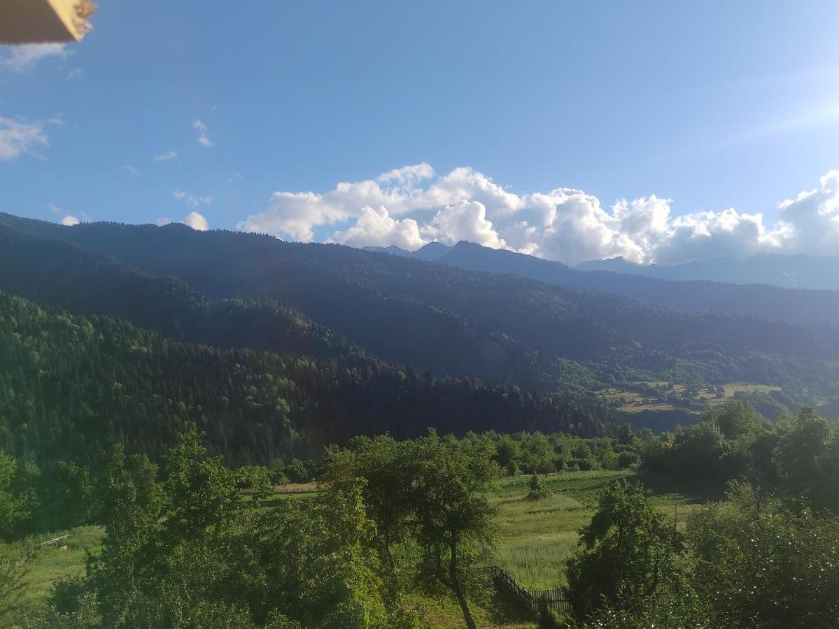 Ecohouse Svaneti Mestia Buitenkant foto