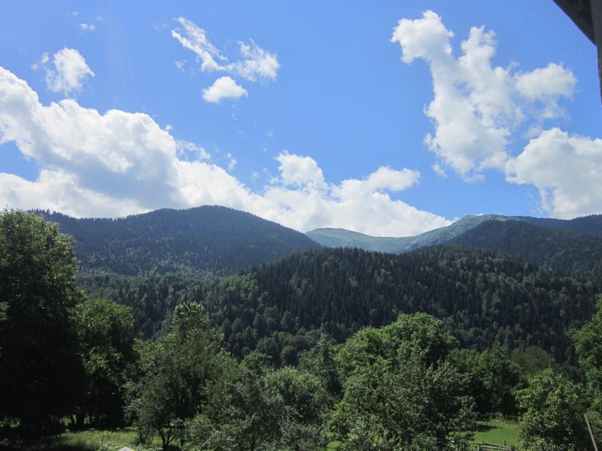 Ecohouse Svaneti Mestia Buitenkant foto