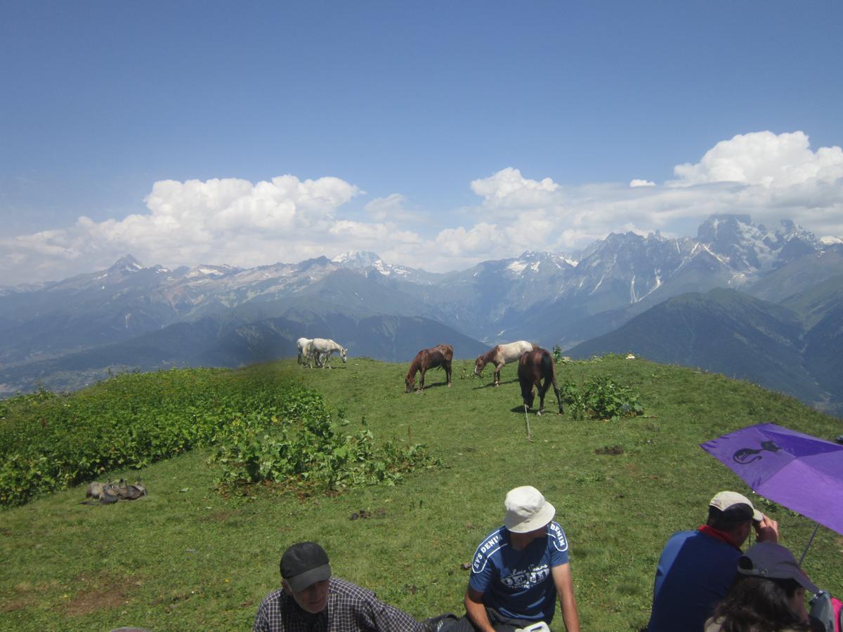 Ecohouse Svaneti Mestia Buitenkant foto