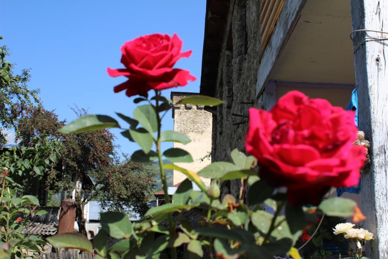 Ecohouse Svaneti Mestia Buitenkant foto