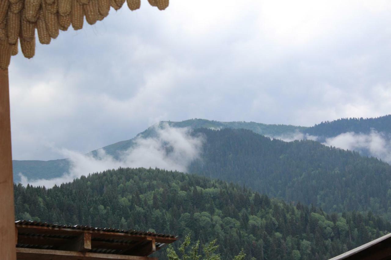 Ecohouse Svaneti Mestia Buitenkant foto